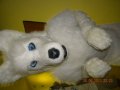 cesfur 559.JPG